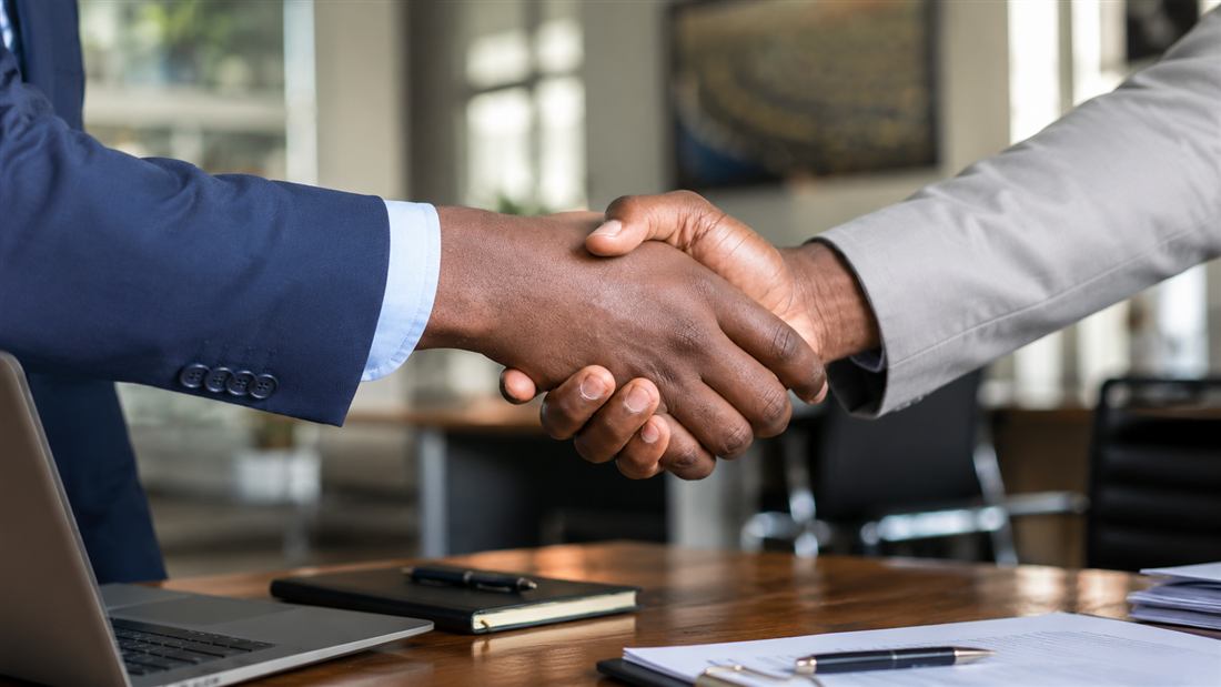 Professional handshake after a successful consultation